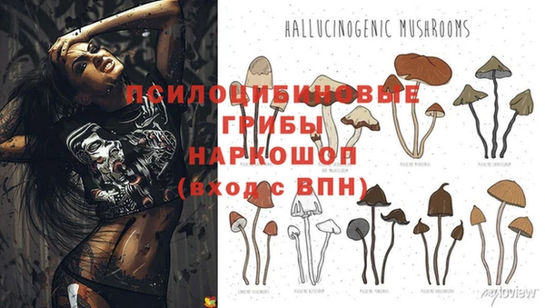 Альфа ПВП Алексин