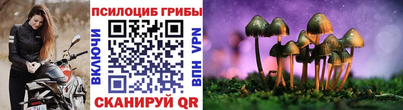 Псилоцибиновые грибы MAGIC MUSHROOMS  hydra рабочий сайт  Протвино 