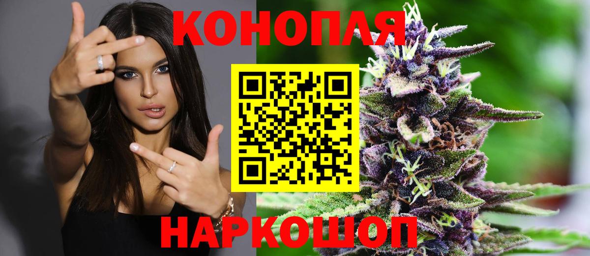 Конопля White Widow  Вход с VPN  Канабис тримм  Шишки марихуана марихуана  Каннабис Ganja  Протвино 